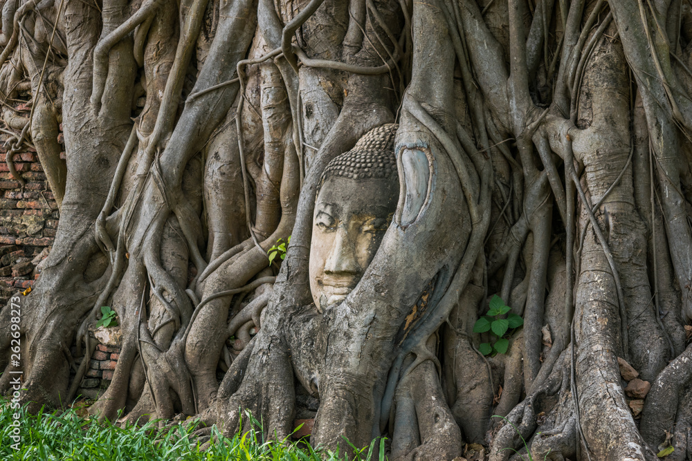 Buddha Face in the root of a tree - Ayutthaya, Thailand Buddha Face in the root of a tree - Ayutthaya, Thailand