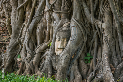 Buddha Face in the root of a tree - Ayutthaya, Thailand © poowadon