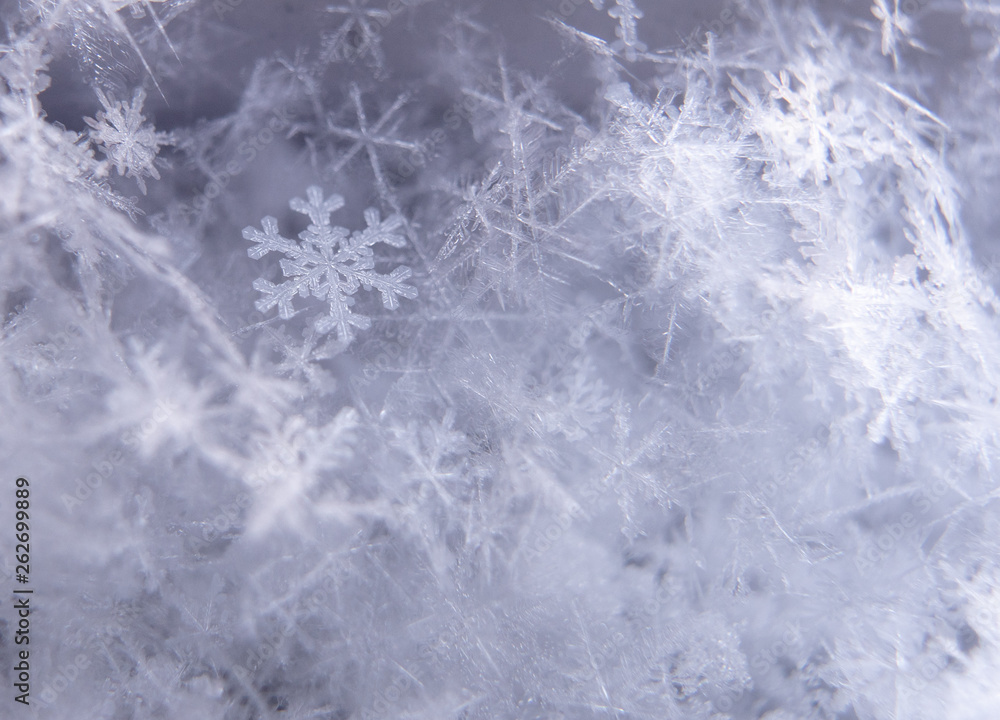 Obraz premium Closeup of sharp snowflake surrounded with other snowflakes in bokeh