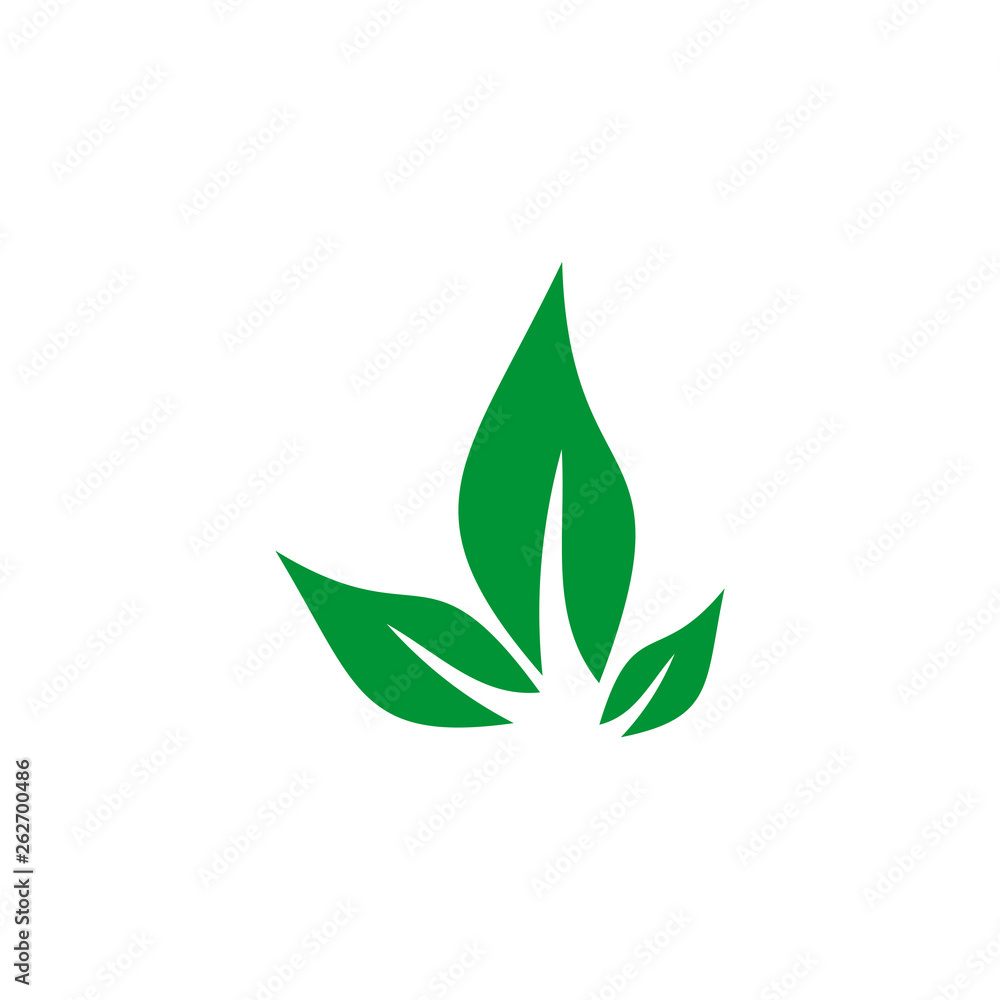 Leaf icon logo design vector template Leaf icon logo design vector template
