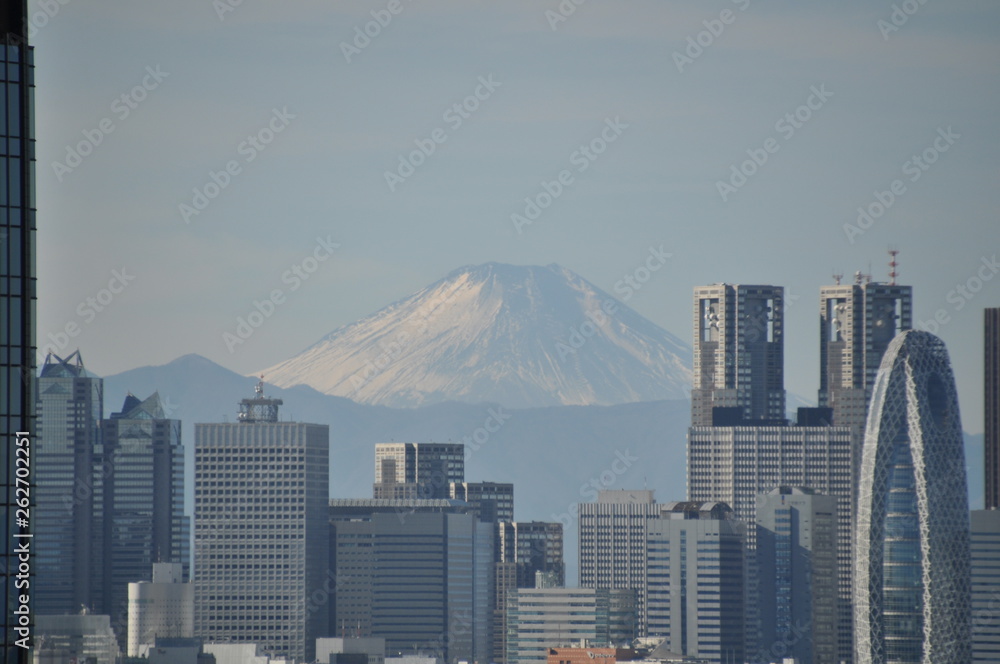 東京の富士山