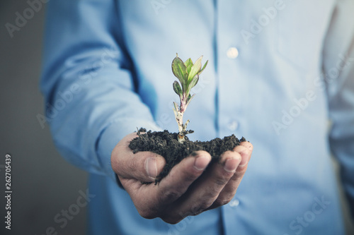 Businessman holding young plant. Business growth concept