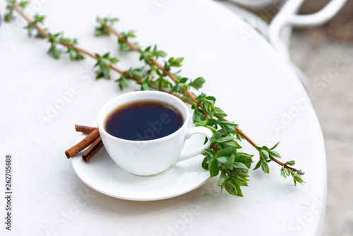 Aromatic coffee in a summer cafe in a white cup with cinnamon sticks. Beautiful green leaves.