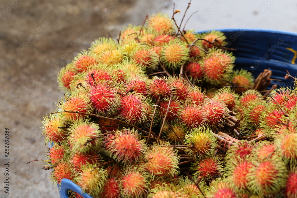 Rambutan wallpaper background Rambutan wallpaper background