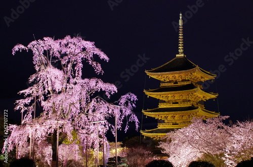 Obraz na płótnie 春の京都・東寺の桜