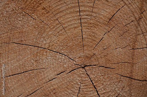 The texture of sawn wood (pine).
