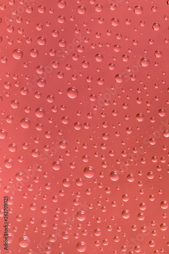 Beautiful water drops of the correct form on a bright coral background. Photo with color adjustment