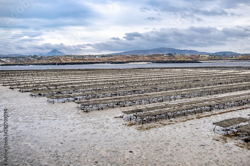 Oyster farming and oyster traps  floating mesh bags by Carrickfinn in County Donegal  Ireland