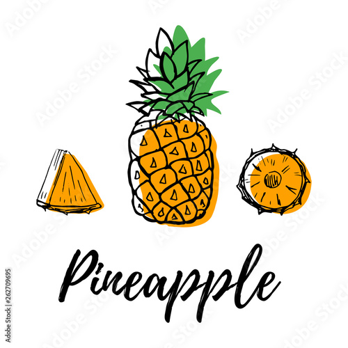 Hand drawn fruits pineapple set colored with color shapes vector illustration isolated on white background. Whole, parts, detailed sketch style collection. Fresh and tasty!