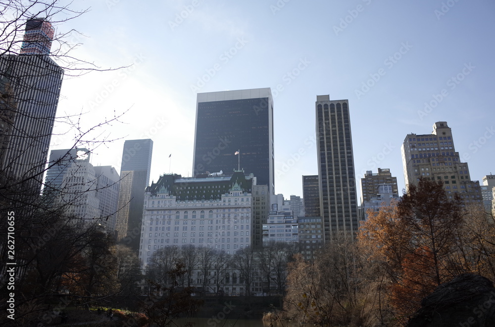 Obraz premium セントラルパークから見たビル群