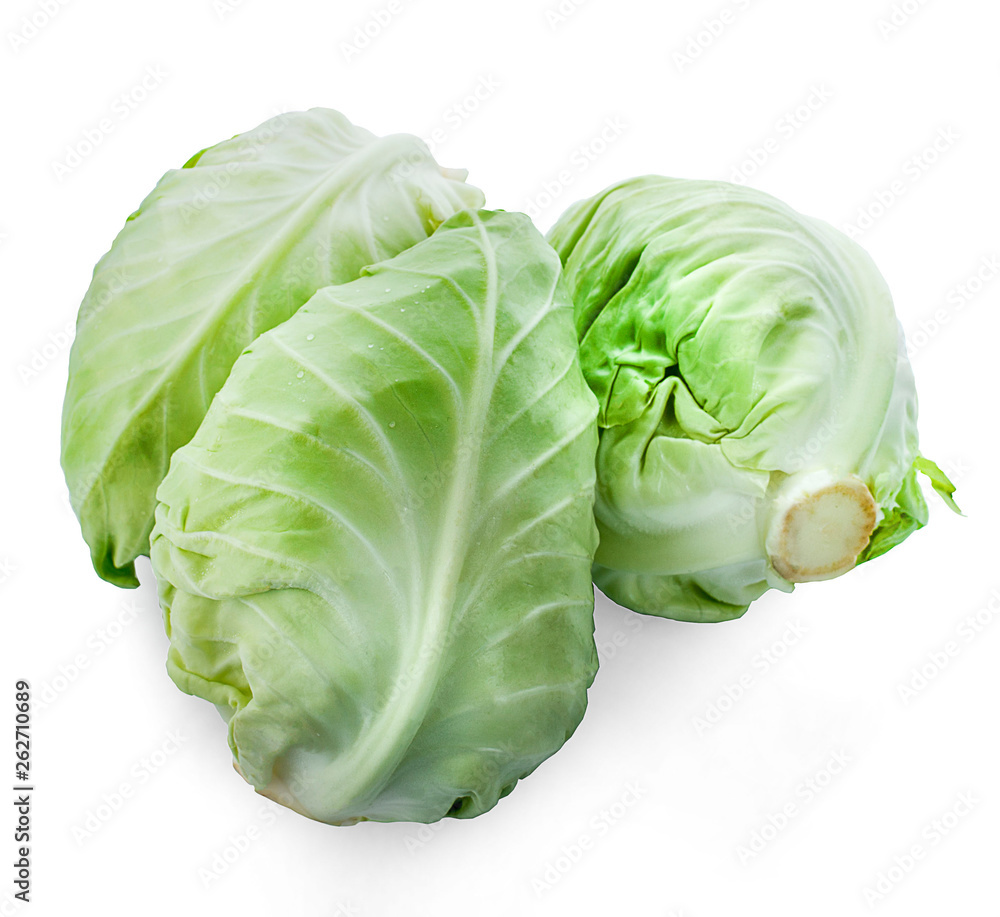 cabbage on white background cabbage on white background