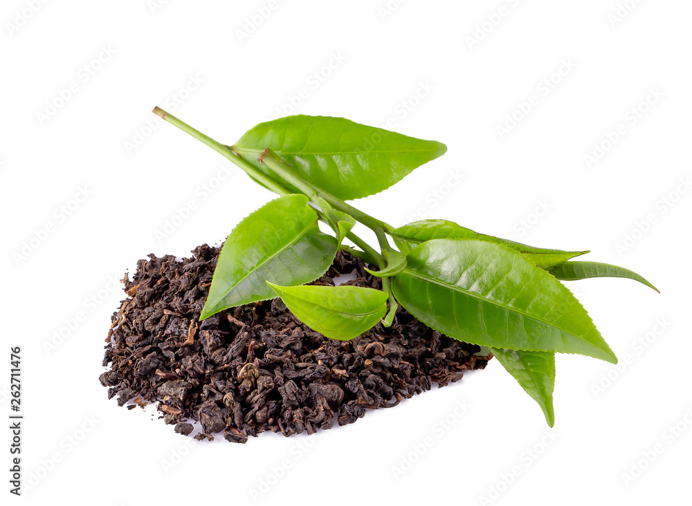 Green tea leaf isolated on white background Green tea leaf isolated on white background