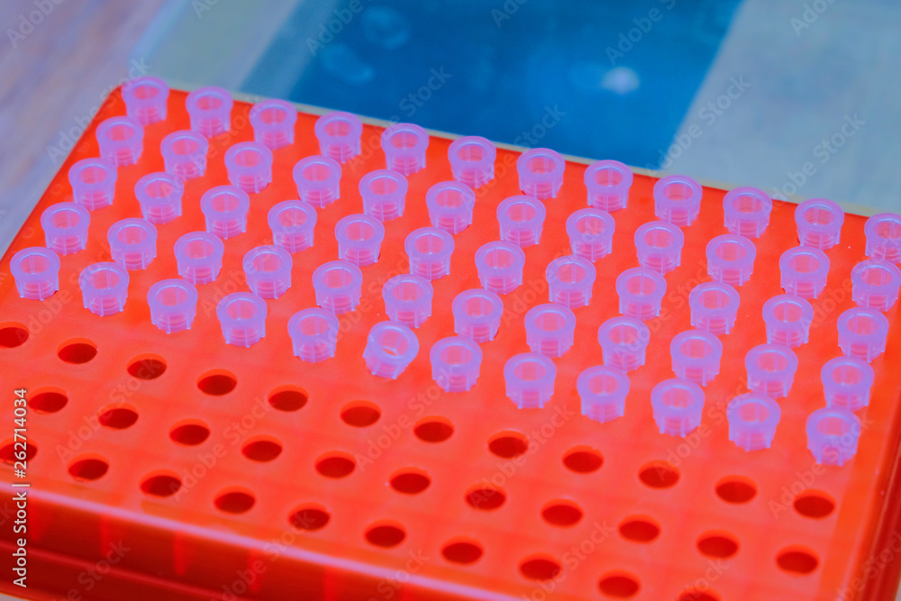 the science DNA analysis by PCR-RFLP of Apis mellifera by gel ...