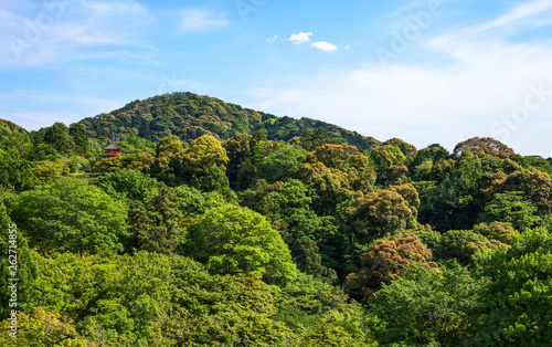 kyoto, the ancient capital of the country