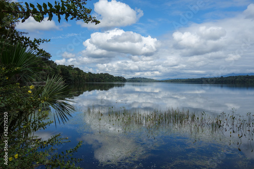 View on a secret lake with a lot of water plants and piranhas and water reflections of the blue, cloudy sky in the Madidi Jungle, Bolivia photo