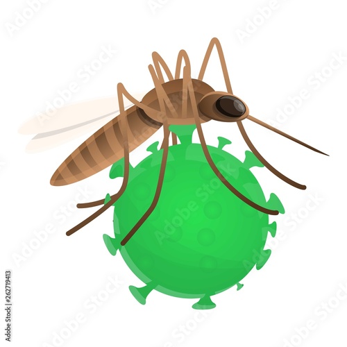 Zika insect icon. Cartoon of zika insect vector icon for web design isolated on white background