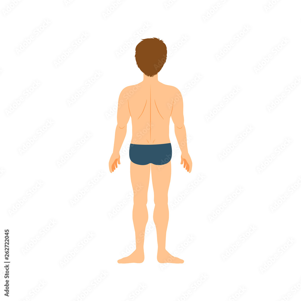 Cartoon boy in underwear, back, body part anatomy template. Isolated vector illustration. Cartoon boy in underwear, back, body part anatomy template. Isolated vector illustration.