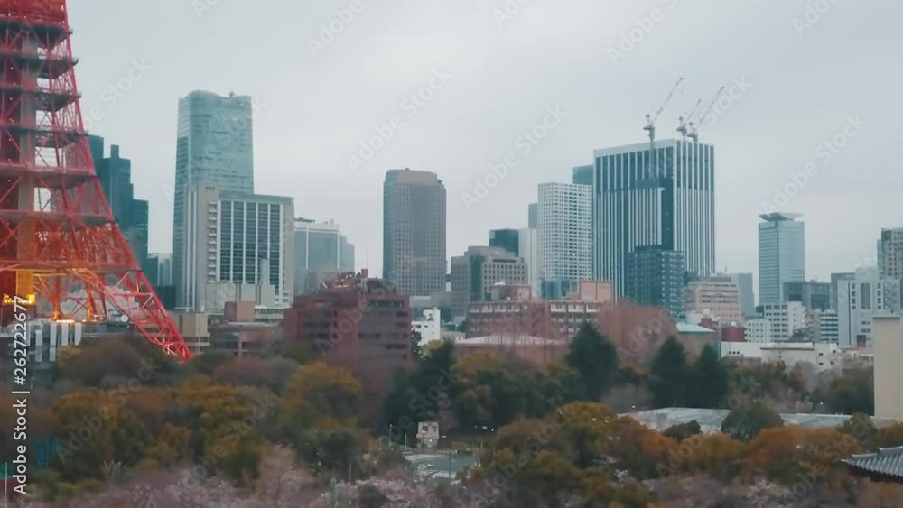Drone panning up from the Buddhist Zojoji Temple complex looking over the Tokyo city skyline towards the famous Tokyo Tower on an overcast hazy day with cherry blossoms blooming Drone panning up from the Buddhist Zojoji Temple complex looking over the Tokyo city skyline towards the famous Tokyo Tower on an overcast hazy day with cherry blossoms blooming