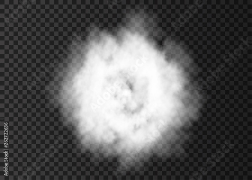 Explosion  smoke spiral  track isolated on transparent background.
