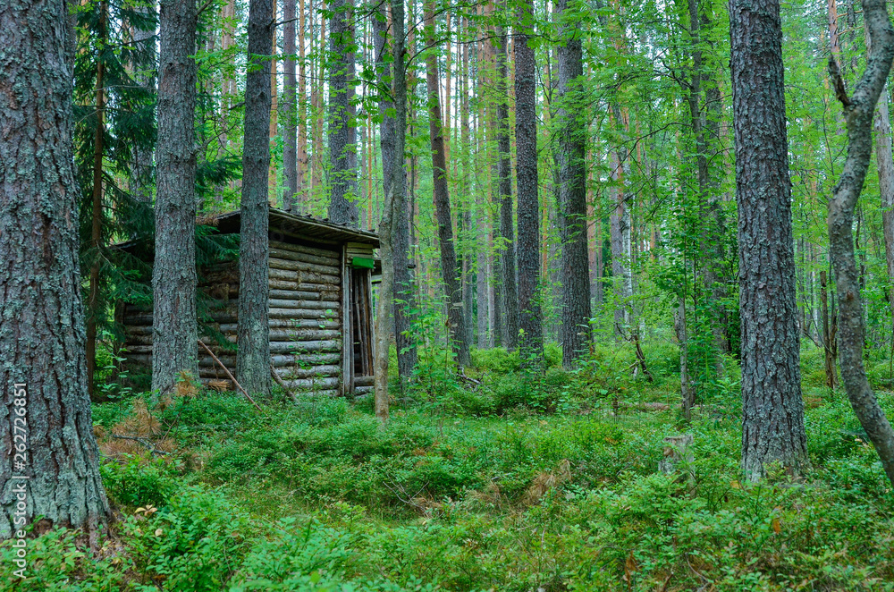 Nature,environment, forests, swamps, fields, rivers Nature,environment, forests, swamps, fields, rivers