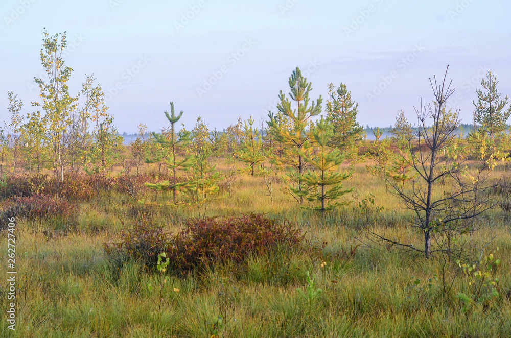Nature,environment, forests, swamps, fields, rivers Nature,environment, forests, swamps, fields, rivers