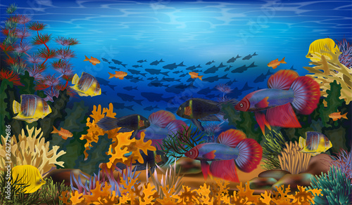Underwater wallpaper with tropical fish and algae, vector illustration