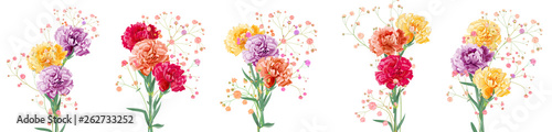 Set bouquets of carnation schabaud. Purple, yellow, red, orange flowers, twigs gypsophile, white background. Illustration for Mother's Day, Victory day in watercolor style, panoramic view, vector