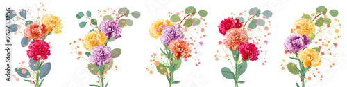 Bouquets carnation schabaud. Purple, yellow, red, orange flowers, twigs gypsophile, eucalyptus, white background. Illustration for Mother's Day, Victory day, watercolor style, panoramic view, vector