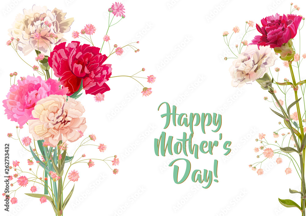 Horizontal Mother's Day, Victory Day card with carnation: white, red, pink, flowers, twig gypsophile, white background. Templates for design, vintage botanical illustration in watercolor style, vector