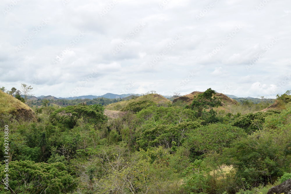 Forested Hill tops in mountainous Cordillera