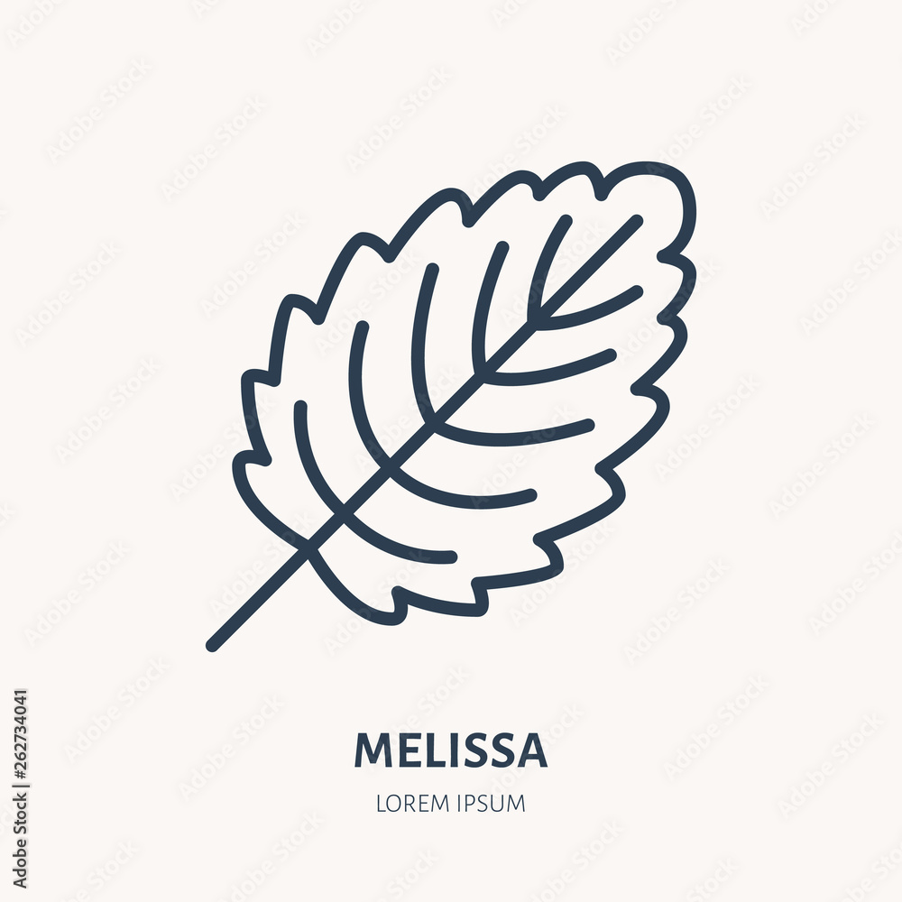 Melissa flat line icon. Medicinal plant leaf vector illustration. Thin sign for herbal medicine Melissa flat line icon. Medicinal plant leaf vector illustration. Thin sign for herbal medicine