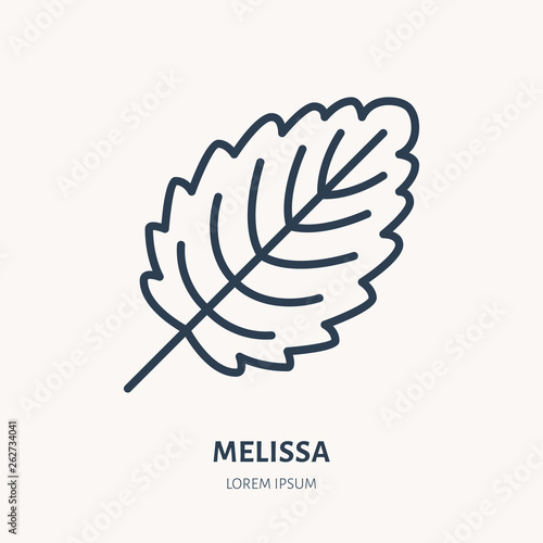 Melissa flat line icon. Medicinal plant leaf vector illustration. Thin sign for herbal medicine