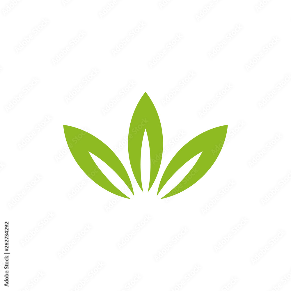 Leaf icon logo design vector template Leaf icon logo design vector template
