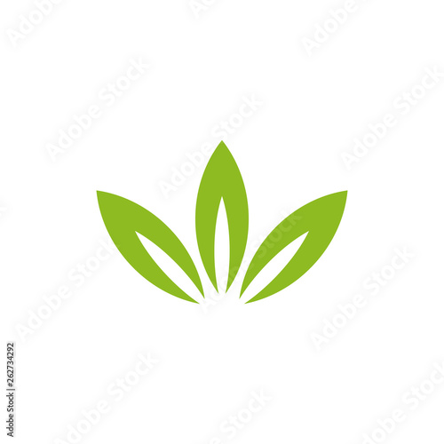 Leaf icon logo design vector template