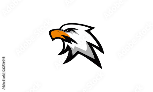elegant simple eagle head