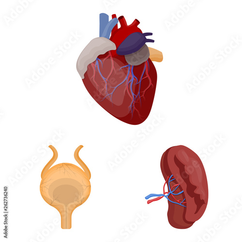Vector design of body and human logo. Collection of body and medical stock symbol for web.