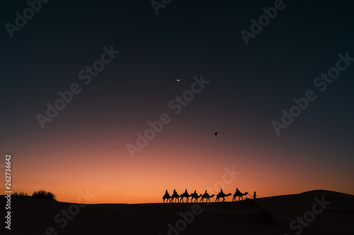 Amazing shot of a caravan of camels and a crow at sunset with a slice of moon, Morocco Merzouga, adventure travel in Africa
