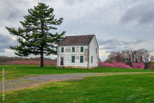 Old Barn in Orchard