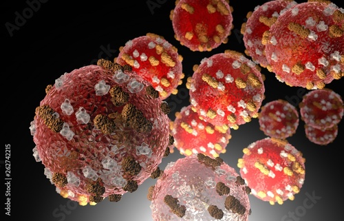 Rubella virus