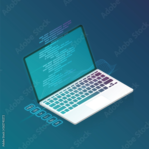 programmer coding binary computer isometric flat vector
