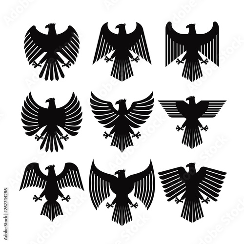 EAGLE COAT VECTOR