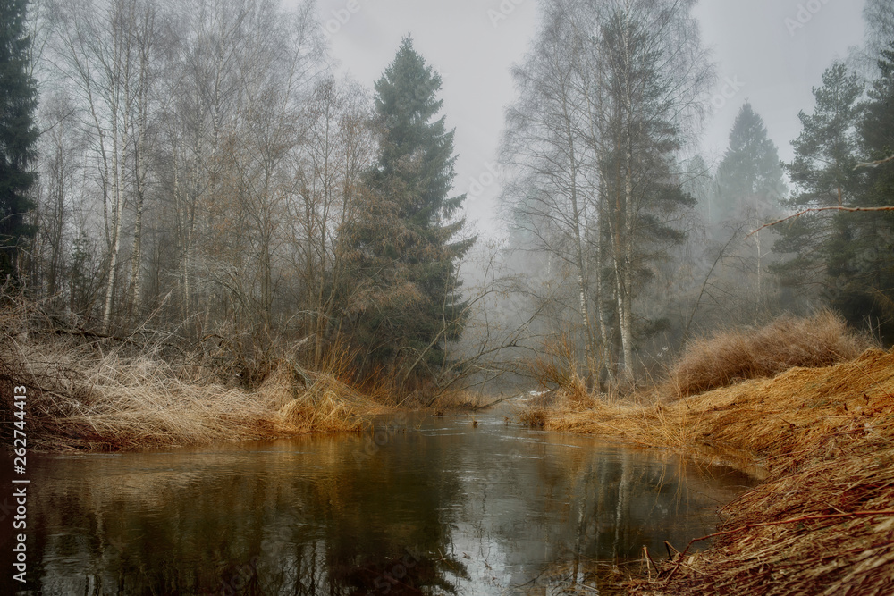 Obraz premium Misty landscape with forest and river at morning