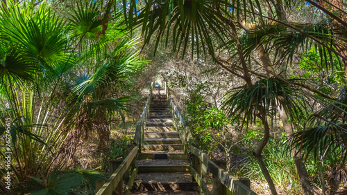 Beach Boardwalk