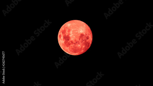 Fototapeta Naklejka Na Ścianę i Meble -  Red Moon