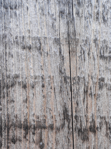 The texture of the fence of the old gray boards at sunset