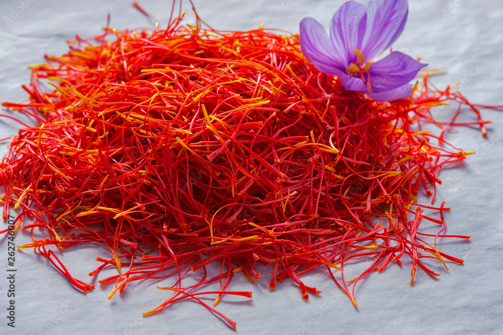 Naklejka premium Flowers of saffron collection. Crocus sativus, commonly known as the