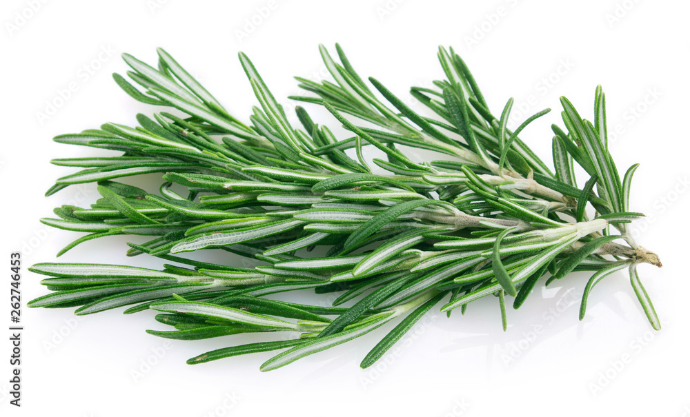 Fresh rosemary on white background Fresh rosemary on white background