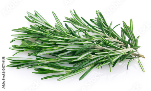 Fresh rosemary on white background