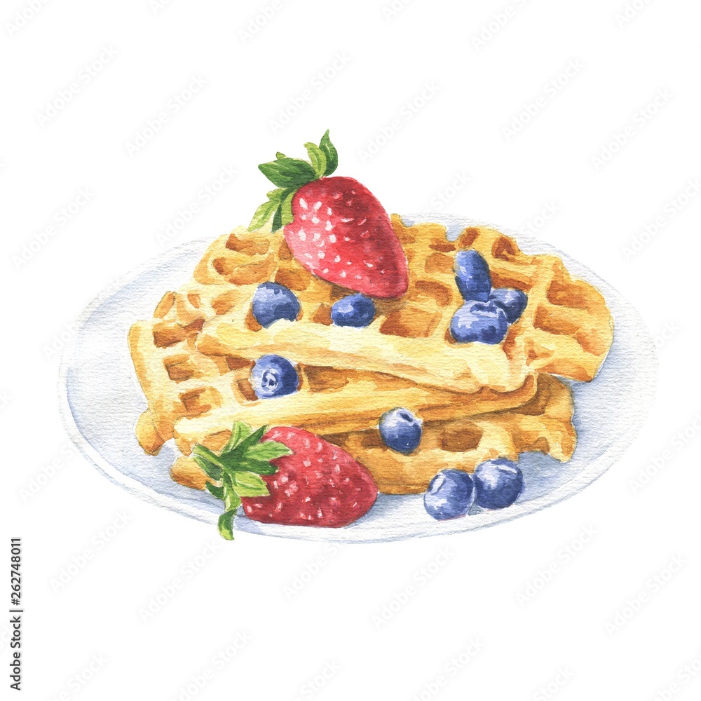 Hand drawn watercolor waffles on a plate with strawberries and blueberries isolated on white background. Food illustration. Hand drawn watercolor waffles on a plate with strawberries and blueberries isolated on white background. Food illustration.