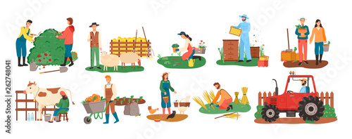 People at farm vector, farmers with cow and pigs, woman feeding chickens, couple with carrot basket, harvesting season. Bee honey and tractor cultivation